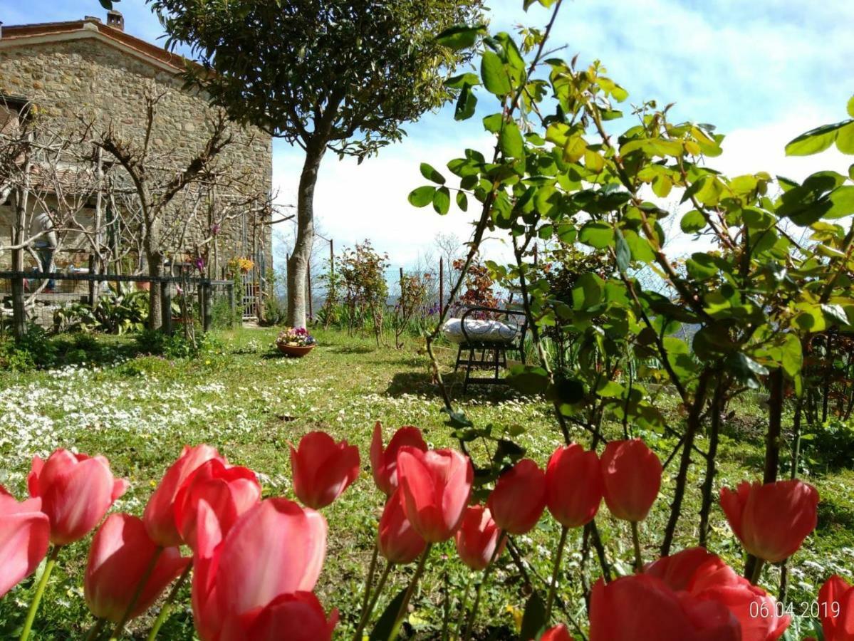 House With Stunning Views Villa Chiusdino Exterior photo